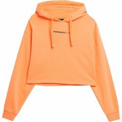4F - Bluza damska na jesień ze sklepu: SPORT-SHOP.pl w kategorii: Bluzy damskie - zdjęcie 6BAF450-D40-9631_157583