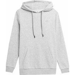 Bluza damska na jesień w sportowym stylu 4F ze sklepu: SPORT-SHOP.pl w kategorii: Bluzy damskie - zdjęcie 6BAF450-D40-9631_157598