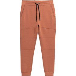 Spodnie męskie w sportowym stylu 4F ze sklepu: SPORT-SHOP.pl w kategorii: Spodnie męskie - zdjęcie 6BAF450-D40-9631_157618