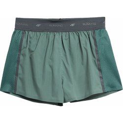 Szorty 4F ze sklepu: SPORT-SHOP.pl w kategorii: Szorty - zdjęcie 6BAF450-D40-9631_158488