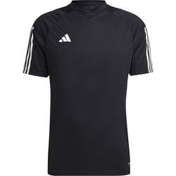 T-shirt męski adidas ze sklepu: SPORT-SHOP.pl w kategorii: T-shirty męskie - zdjęcie 6BAF450-D40-9631_159371