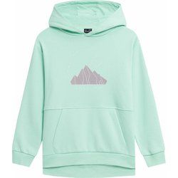 Bluza dziewczęca 4F ze sklepu: SPORT-SHOP.pl w kategorii: Bluzy dziewczęce - zdjęcie 6BAF450-D40-9631_160590