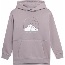 Bluza dziewczęca na zimę 4F ze sklepu: SPORT-SHOP.pl w kategorii: Bluzy dziewczęce - zdjęcie 6BAF450-D40-9631_160592