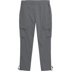 Spodnie męskie 4F ze sklepu: SPORT-SHOP.pl w kategorii: Spodnie męskie - zdjęcie 6BAF450-D40-9631_160871