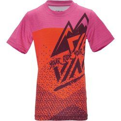 T-shirt męski na wiosnę w stylu młodzieżowym Silvini ze sklepu: SPORT-SHOP.pl w kategorii: T-shirty męskie - zdjęcie 6BAF450-D40-9631_161985