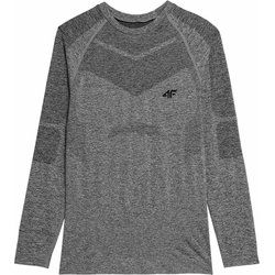 4F - T-shirt męski sportowy ze sklepu: SPORT-SHOP.pl w kategorii: T-shirty męskie - zdjęcie 6BAF450-D40-9631_166288
