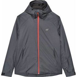 4F - Kurtka męska jesienna ze sklepu: SPORT-SHOP.pl w kategorii: Kurtki męskie - zdjęcie 6BAF450-D40-9631_166298