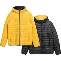 Kurtka męska na zimę 4F ze sklepu: SPORT-SHOP.pl w kategorii: Kurtki męskie - zdjęcie 6BAF450-D40-9631_166592