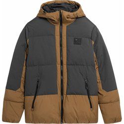 Kurtka męska na zimę 4F ze sklepu: SPORT-SHOP.pl w kategorii: Kurtki męskie - zdjęcie 6BAF450-D40-9631_166595