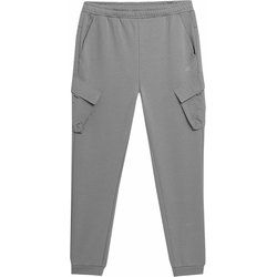 Spodnie męskie jesienne 4F ze sklepu: SPORT-SHOP.pl w kategorii: Spodnie męskie - zdjęcie 6BAF450-D40-9631_166616