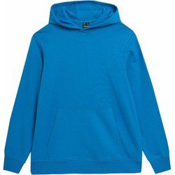 Bluza męska casual 4F ze sklepu: SPORT-SHOP.pl w kategorii: Bluzy męskie - zdjęcie 6BAF450-D40-9631_166643