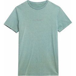 T-shirt męski na wiosnę 4F ze sklepu: SPORT-SHOP.pl w kategorii: T-shirty męskie - zdjęcie 6BAF450-D40-9631_166652