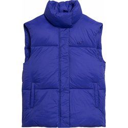 Kamizelka męska jesienna 4F ze sklepu: SPORT-SHOP.pl w kategorii: Kamizelki męskie - zdjęcie 6BAF450-D40-9631_166722