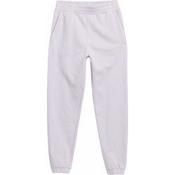 Spodnie damskie sportowe 4F ze sklepu: SPORT-SHOP.pl w kategorii: Spodnie damskie - zdjęcie 6BAF450-D40-9631_166733