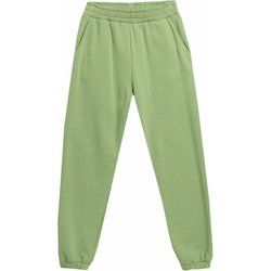 Spodnie damskie wiosenne 4F ze sklepu: SPORT-SHOP.pl w kategorii: Spodnie damskie - zdjęcie 6BAF450-D40-9631_166751