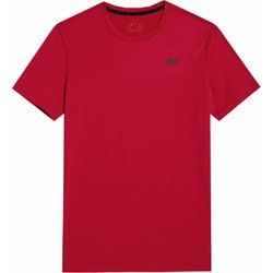 T-shirt męski 4F ze sklepu: SPORT-SHOP.pl w kategorii: T-shirty męskie - zdjęcie 6BAF450-D40-9631_167020
