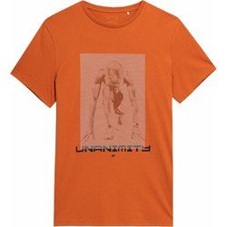 4F - T-shirt męski sportowy ze sklepu: SPORT-SHOP.pl w kategorii: T-shirty męskie - zdjęcie 6BAF450-D40-9631_167043