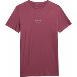 T-shirt męski sportowy 4F ze sklepu: SPORT-SHOP.pl w kategorii: T-shirty męskie - zdjęcie 6BAF450-D40-9631_167049