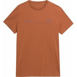 T-shirt męski casual 4F ze sklepu: SPORT-SHOP.pl w kategorii: T-shirty męskie - zdjęcie 6BAF450-D40-9631_167054