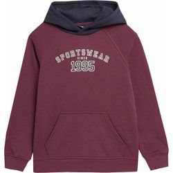 Bluza chłopięca zimowa 4F ze sklepu: SPORT-SHOP.pl w kategorii: Bluzy chłopięce - zdjęcie 6BAF450-D40-9631_167247