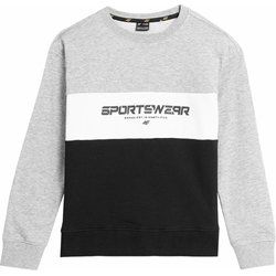 Bluza chłopięca na zimę 4F ze sklepu: SPORT-SHOP.pl w kategorii: Bluzy chłopięce - zdjęcie 6BAF450-D40-9631_167264