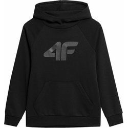 Bluza chłopięca jesienna 4F ze sklepu: SPORT-SHOP.pl w kategorii: Bluzy chłopięce - zdjęcie 6BAF450-D40-9631_167288