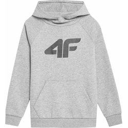 4F - Bluza chłopięca zimowa ze sklepu: SPORT-SHOP.pl w kategorii: Bluzy chłopięce - zdjęcie 6BAF450-D40-9631_167289