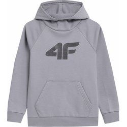 Bluza chłopięca na zimę 4F ze sklepu: SPORT-SHOP.pl w kategorii: Bluzy chłopięce - zdjęcie 6BAF450-D40-9631_167290