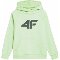 Bluza chłopięca na zimę 4F ze sklepu: SPORT-SHOP.pl w kategorii: Bluzy chłopięce - zdjęcie 6BAF450-D40-9631_167292