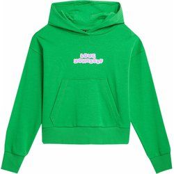 Bluza dziewczęca na zimę 4F ze sklepu: SPORT-SHOP.pl w kategorii: Bluzy dziewczęce - zdjęcie 6BAF450-D40-9631_167354