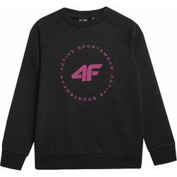 Bluza dziewczęca zimowa 4F ze sklepu: SPORT-SHOP.pl w kategorii: Bluzy dziewczęce - zdjęcie 6BAF450-D40-9631_167379
