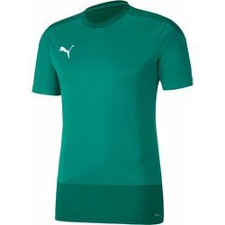 T-shirt męski na wiosnę Puma ze sklepu: SPORT-SHOP.pl w kategorii: T-shirty męskie - zdjęcie 6BAF450-D40-9631_168734