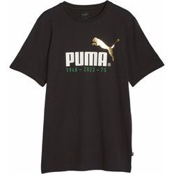 T-shirt męski w sportowym stylu Puma ze sklepu: SPORT-SHOP.pl w kategorii: T-shirty męskie - zdjęcie 6BAF450-D40-9631_174467