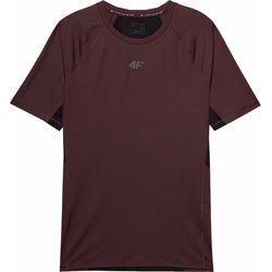 T-shirt męski 4F ze sklepu: SPORT-SHOP.pl w kategorii: T-shirty męskie - zdjęcie 6BAF450-D40-9631_174951