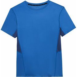 T-shirt męski 4F ze sklepu: SPORT-SHOP.pl w kategorii: T-shirty męskie - zdjęcie 6BAF450-D40-9631_174961