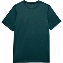 T-shirt męski casual 4F ze sklepu: SPORT-SHOP.pl w kategorii: T-shirty męskie - zdjęcie 6BAF450-D40-9631_174970