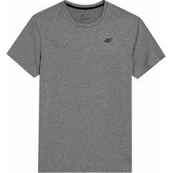 4F - T-shirt męski w sportowym stylu ze sklepu: SPORT-SHOP.pl w kategorii: T-shirty męskie - zdjęcie 6BAF450-D40-9631_174994