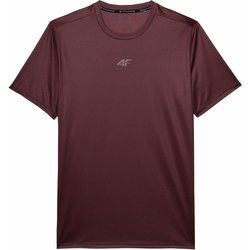 T-shirt męski 4F ze sklepu: SPORT-SHOP.pl w kategorii: T-shirty męskie - zdjęcie 6BAF450-D40-9631_175015