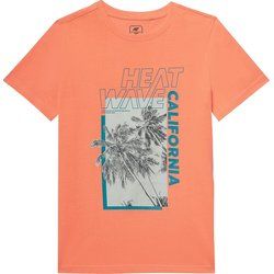 T-shirt chłopięce na lato 4F ze sklepu: SPORT-SHOP.pl w kategorii: T-shirty chłopięce - zdjęcie 6BAF450-D40-9631_175112