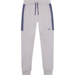 Spodnie chłopięce jesienne 4F ze sklepu: SPORT-SHOP.pl w kategorii: Spodnie chłopięce - zdjęcie 6BAF450-D40-9631_175200
