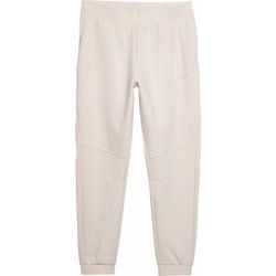 Spodnie męskie 4F ze sklepu: SPORT-SHOP.pl w kategorii: Spodnie męskie - zdjęcie 6BAF450-D40-9631_175246