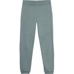 Spodnie męskie 4F ze sklepu: SPORT-SHOP.pl w kategorii: Spodnie męskie - zdjęcie 6BAF450-D40-9631_175251