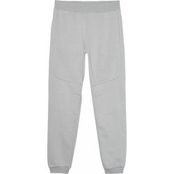 Spodnie męskie sportowe 4F ze sklepu: SPORT-SHOP.pl w kategorii: Spodnie męskie - zdjęcie 6BAF450-D40-9631_175252