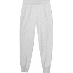 Spodnie damskie sportowe 4F ze sklepu: SPORT-SHOP.pl w kategorii: Spodnie damskie - zdjęcie 6BAF450-D40-9631_175283