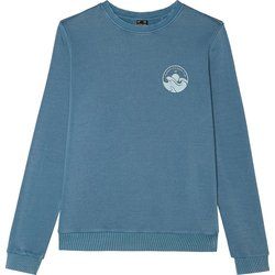 Bluza chłopięca na zimę 4F ze sklepu: SPORT-SHOP.pl w kategorii: Bluzy chłopięce - zdjęcie 6BAF450-D40-9631_175294