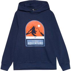 4F - Bluza chłopięca zimowa ze sklepu: SPORT-SHOP.pl w kategorii: Bluzy chłopięce - zdjęcie 6BAF450-D40-9631_175301