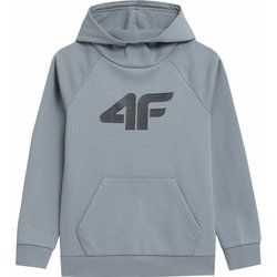 Bluza chłopięca na zimę 4F ze sklepu: SPORT-SHOP.pl w kategorii: Bluzy chłopięce - zdjęcie 6BAF450-D40-9631_175319