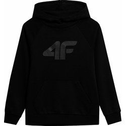 Bluza chłopięca 4F ze sklepu: SPORT-SHOP.pl w kategorii: Bluzy chłopięce - zdjęcie 6BAF450-D40-9631_175320