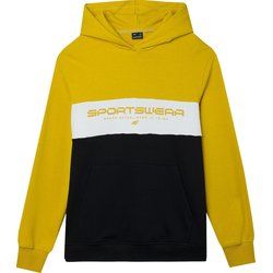 Bluza męska w sportowym stylu w stylu młodzieżowym 4F ze sklepu: SPORT-SHOP.pl w kategorii: Bluzy męskie - zdjęcie 6BAF450-D40-9631_175371