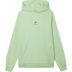 4F - Bluza męska jesienna sportowa ze sklepu: SPORT-SHOP.pl w kategorii: Bluzy męskie - zdjęcie 6BAF450-D40-9631_175396